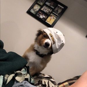 Meet your Posher, Nick